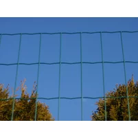 800 800