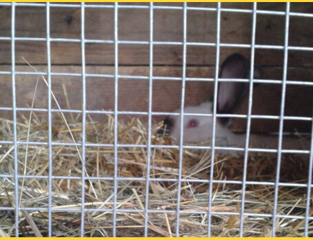 Zvárané štvorhranné pletivo